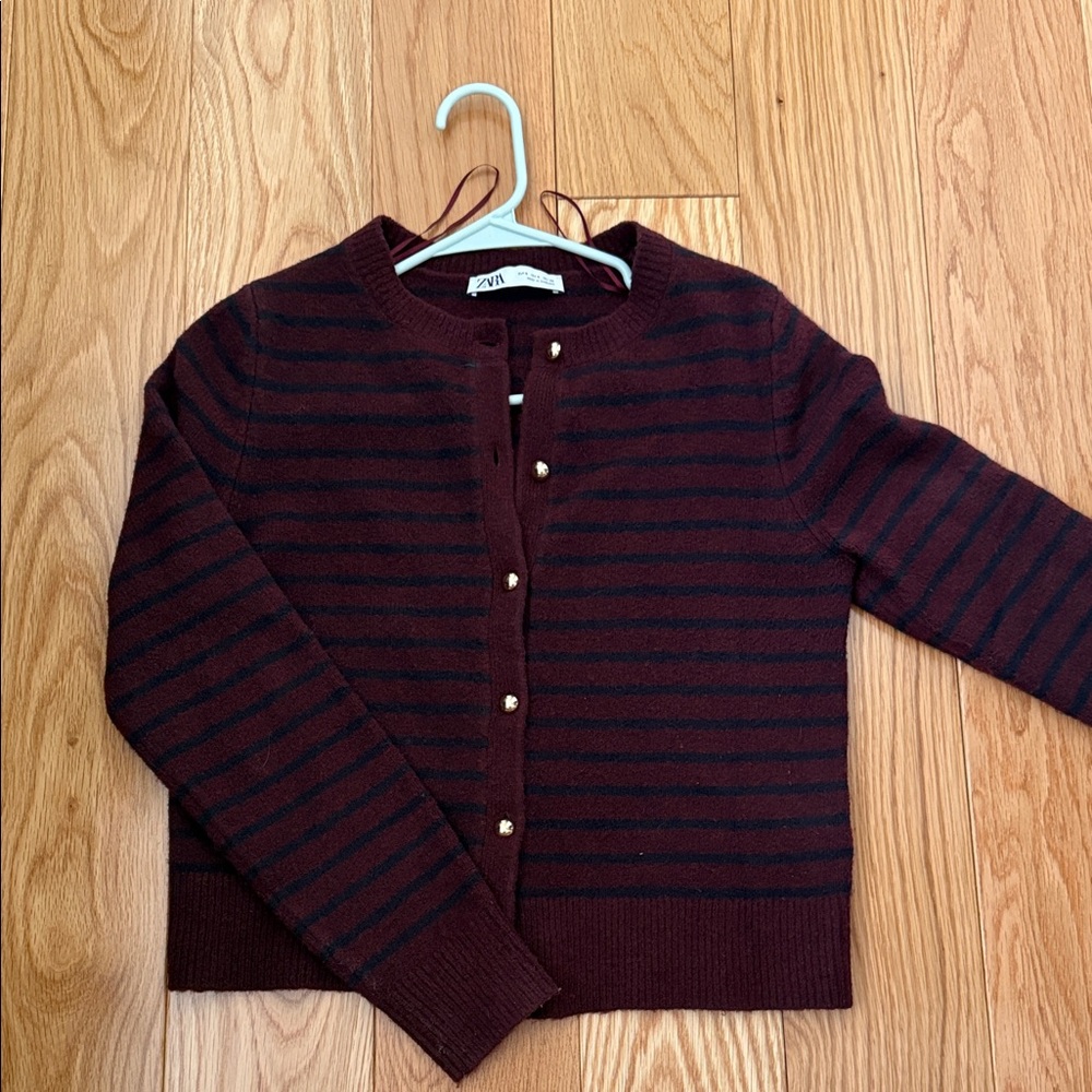 Zara Burgundy and Black Striped Cardigan